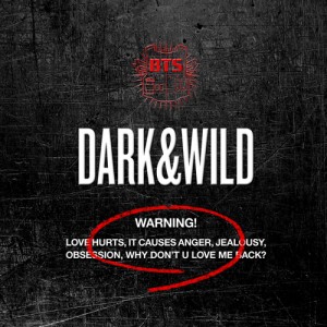 BTS (방탄소년단) - Dark & Wild
